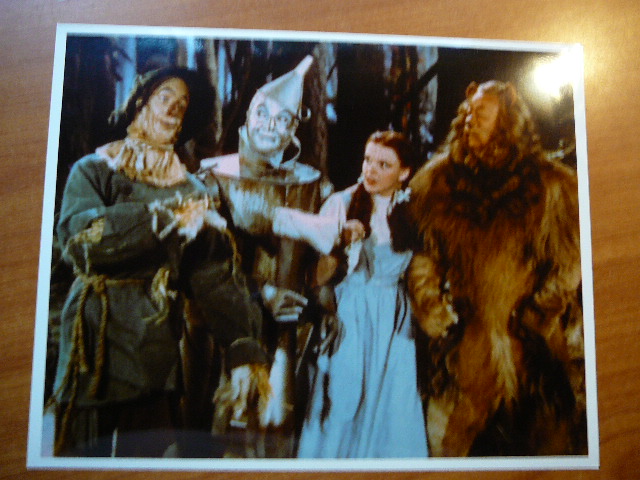 Wizard of Oz > MGM - Oz > Wizard of Oz picture from MGM movie. 8x10 ...